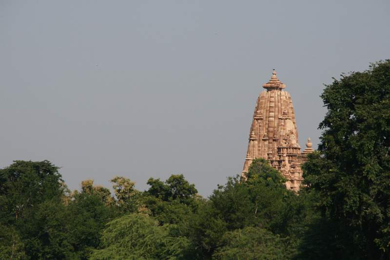 India & Nepal 2011 - 0870